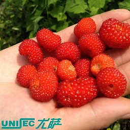 這個五一勞動節(jié)，尤薩人帶著家人出游